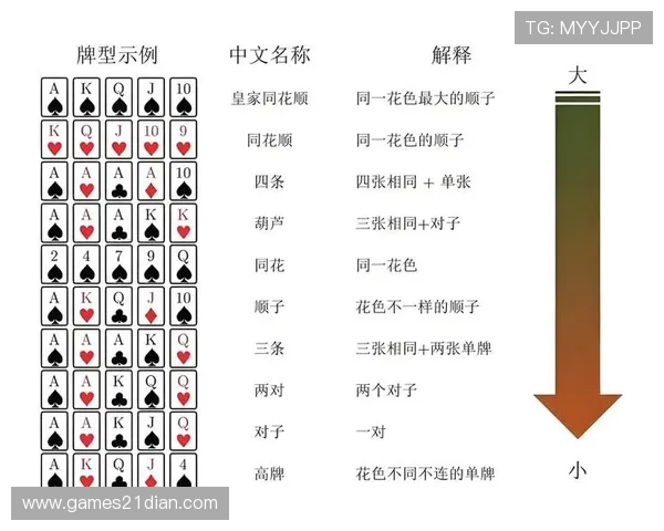 专业玩家分享德州扑克娱乐游戏的实战经验与技巧提升你的胜率